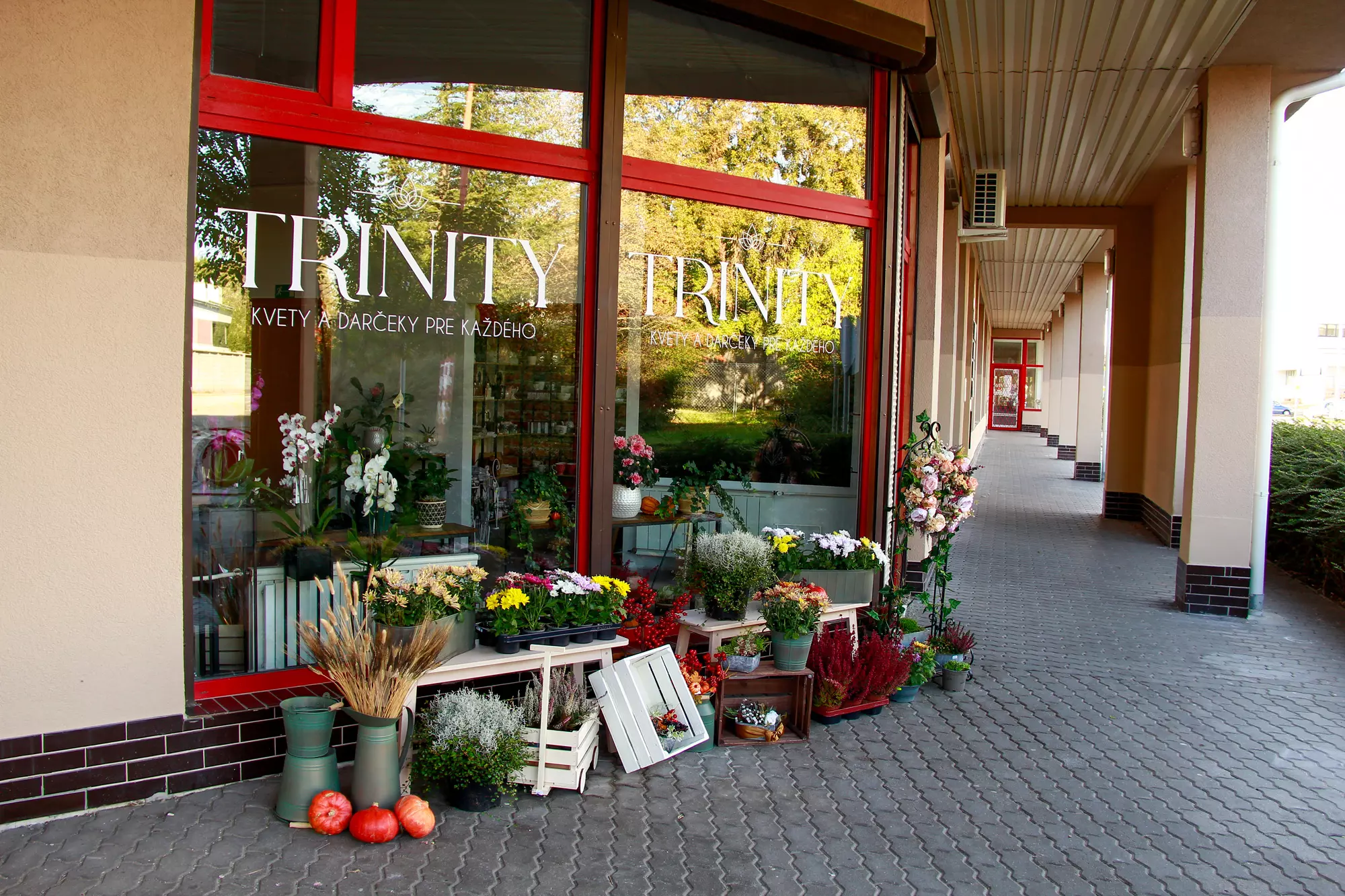kvetinárstvo trinity, predajňa v podunajských biskupiciach v bratislave, možnosť objednania kvetov a rastlín online, kvetinárstvo v bratislave